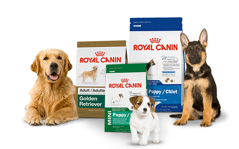 royal canin