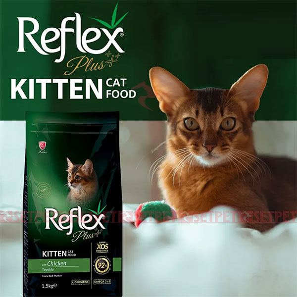 reflex-plus-kitten-food-chicken-1