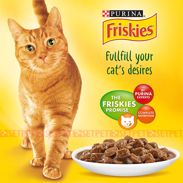 پوچ گربه بالغ فریسکیز گوشت گاو در سس - Friskies Cat Pouches Beef In Gravy - سوپ گربه بالغ فریسکیز با گوشت گاو در سس - پوچ گربه فریسکیز - پوچ فریسکیز - پوچ گربه فریسکیز طعم مرغ در سس