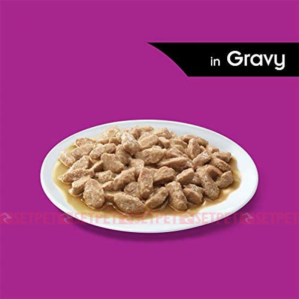 پوچ گربه بالغ ویسکاس گوشت گاو در سس - Whiskas Pouch Beef In Gravy - سوپ گربه بالغ ویسکاس با گوشت گاو در سس - پوچ گربه ویسکاس - پوچ ویسکاس