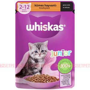 پوچ بچه گربه ویسکاس مرغ و بوقلمون در سس - Whiskas junior Pouch poultry In gravy - سوپ بچه گربه ویسکاس مرغ و بوقلمون در سس - پوچ گربه ویسکاس - پوچ ویسکاس - پوچ ویسکاس جونیور - پوچ جونیور ویسکاس